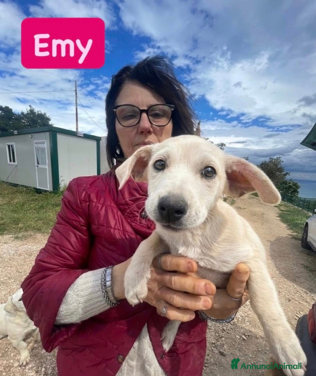 Meticcio cani Emy dolcissima cucciola taglia medio piccola - Annuncio 28