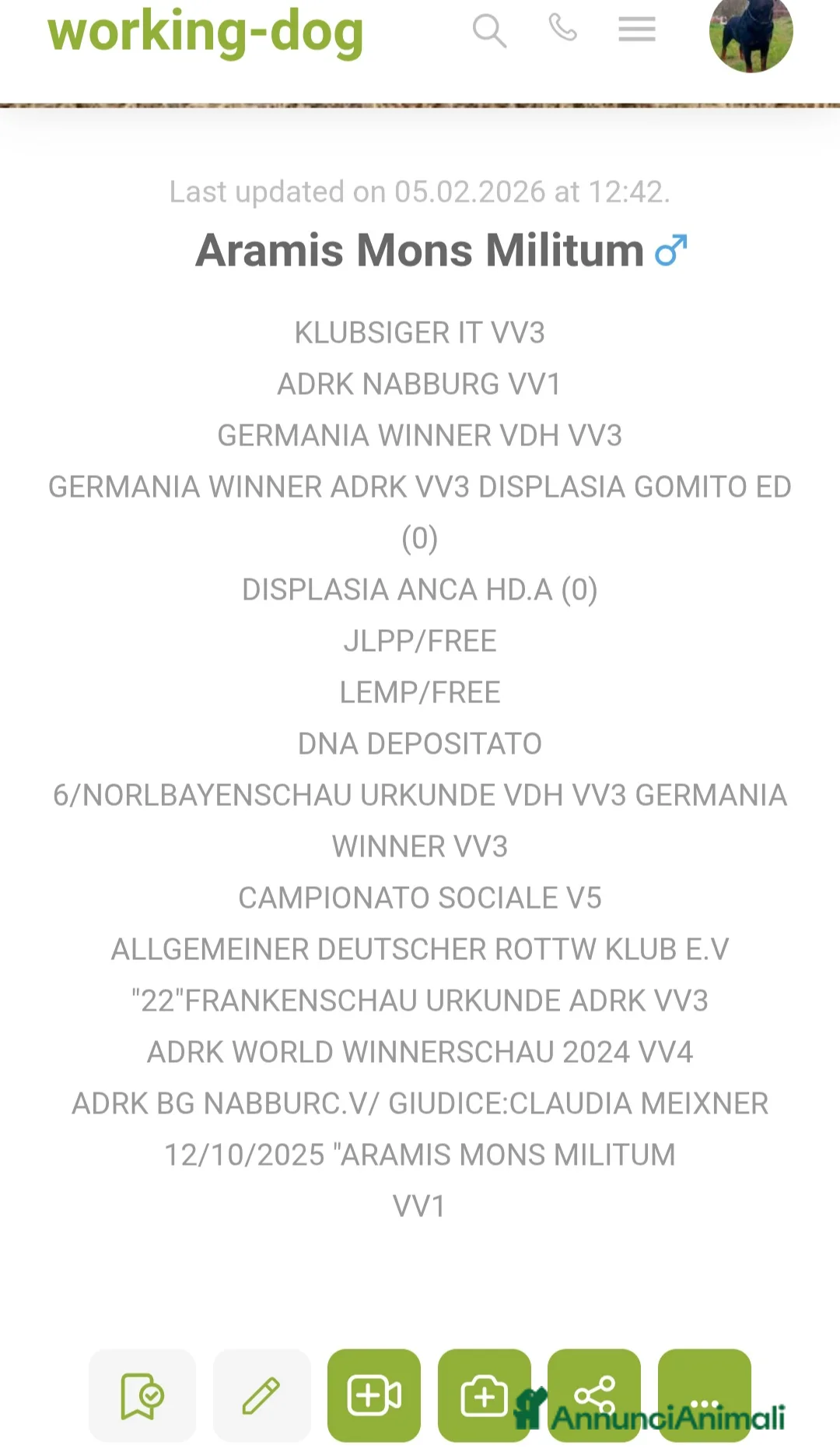 Rottweiler cani per accoppiamento: Rottweiler - Annuncio 14