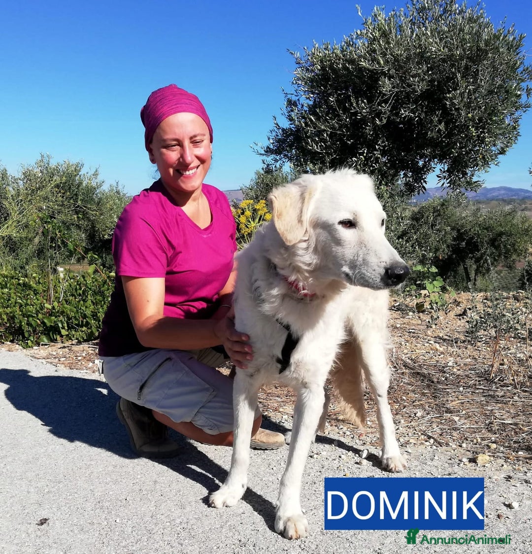 Altre razze cani in regalo: IRIS E DOMINIK - Annuncio 3