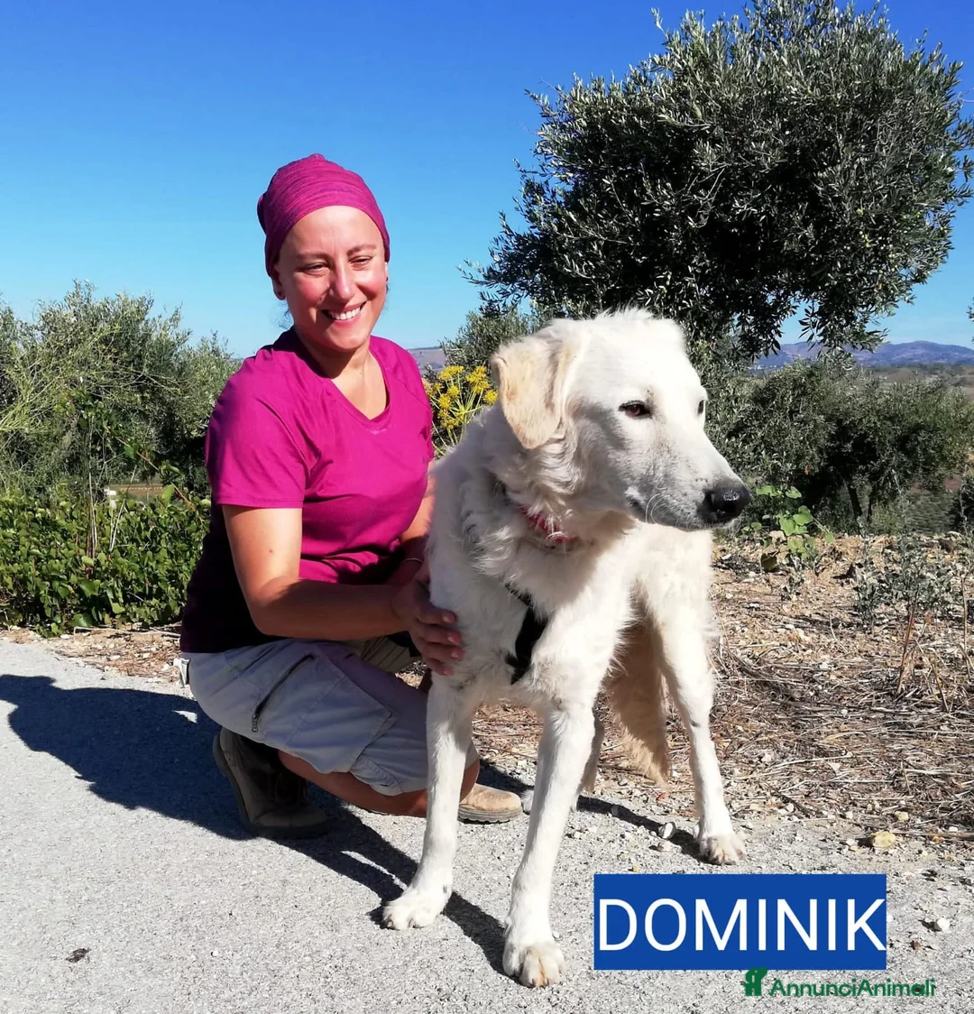 Altre razze cani in regalo: IRIS E DOMINIK - Annuncio 3