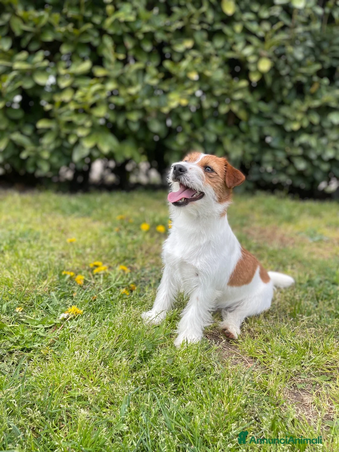 Immagine della galleria {{count}}