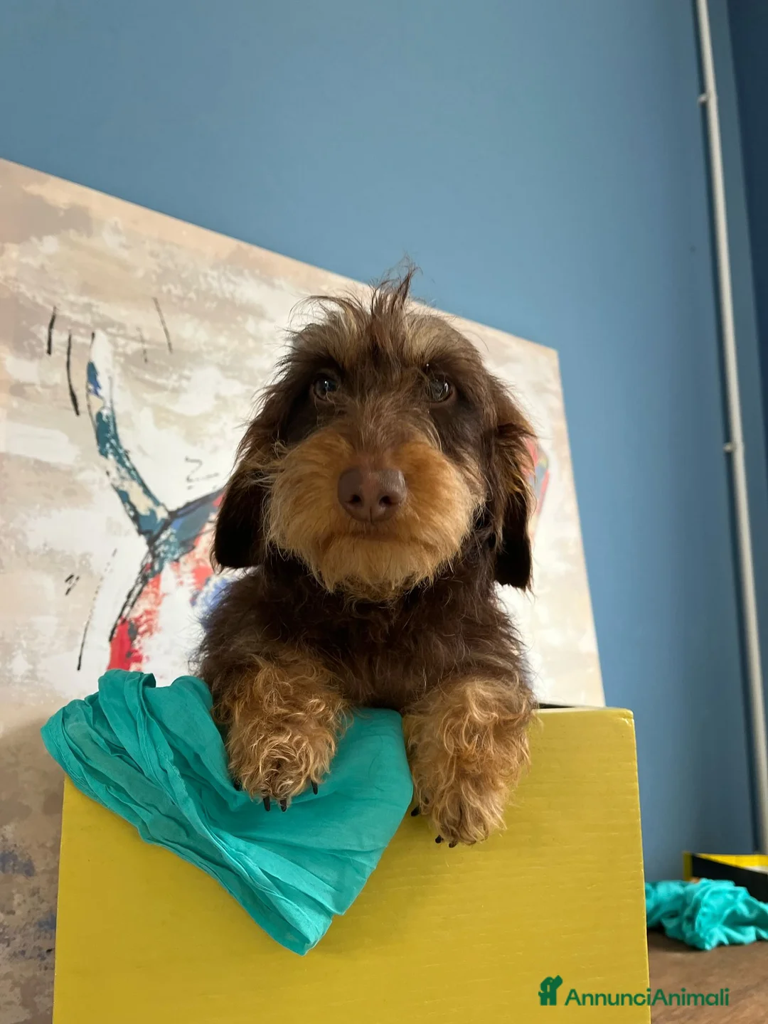 Immagine della galleria {{count}}