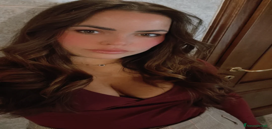 Immagine della galleria {{count}}