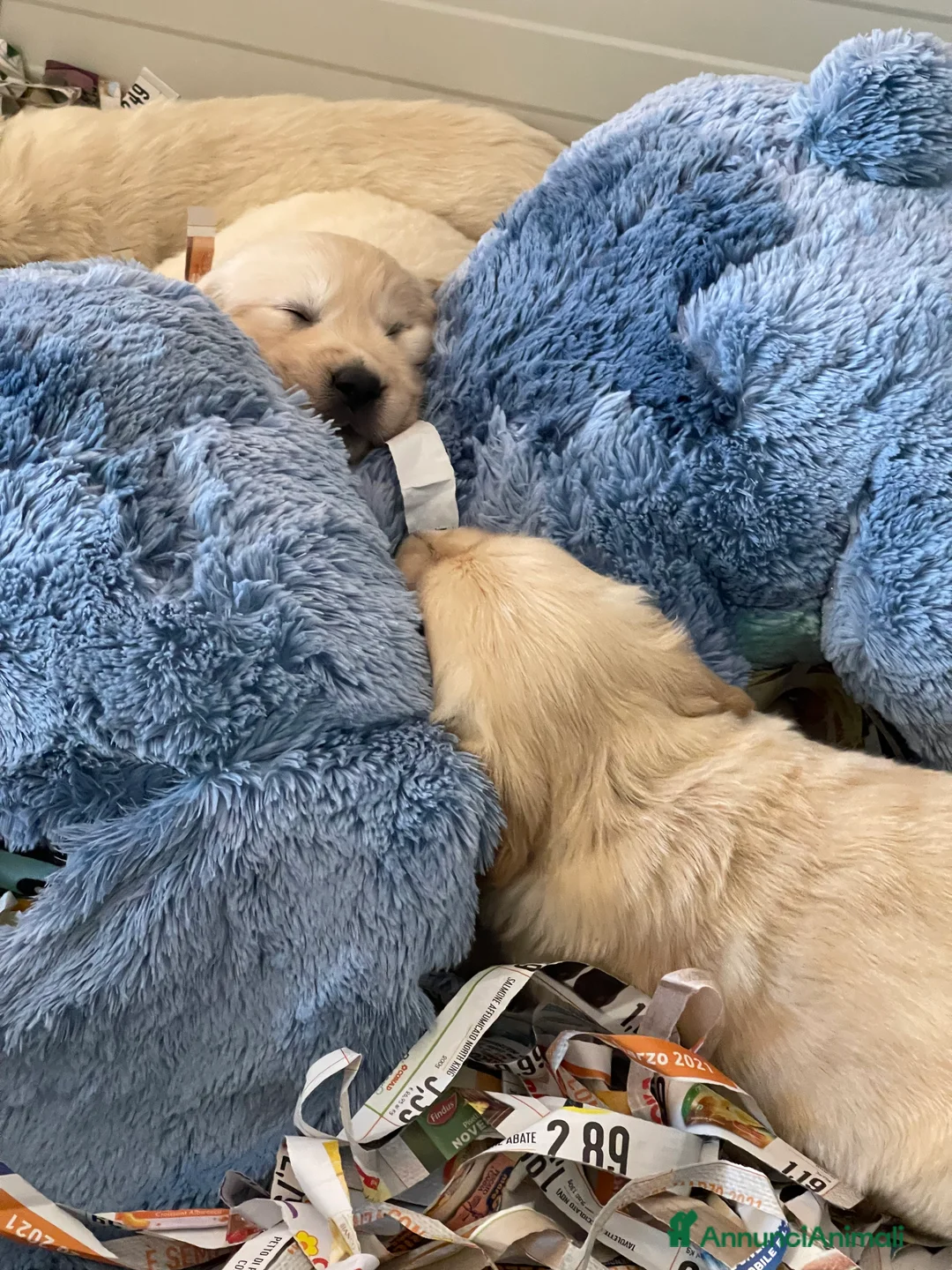 Immagine della galleria {{count}}