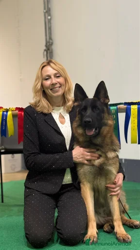 Immagine della galleria {{count}}