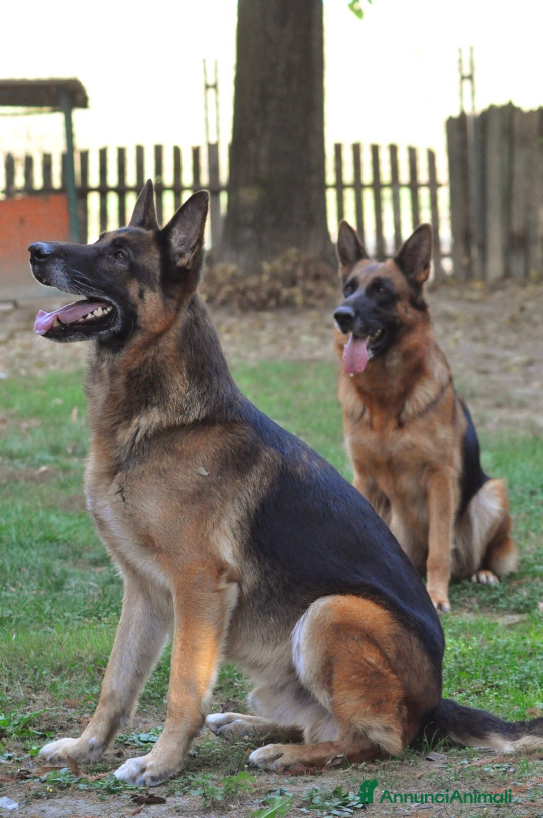 Immagine della galleria {{count}}