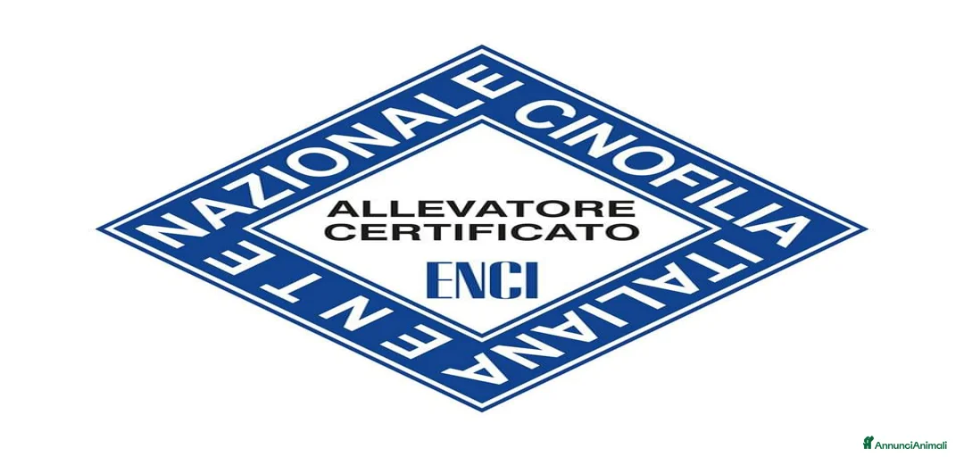 Immagine della galleria {{count}}