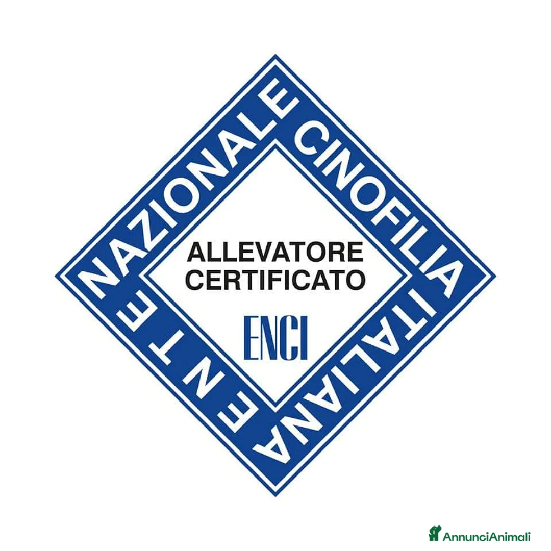 Immagine della galleria {{count}}