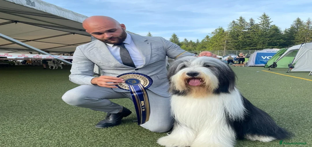 Immagine della galleria {{count}}