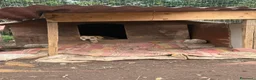 Meticcio cani in regalo: Undi cerca amore - Annuncio 1