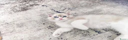 Ragdoll gatti in vendita: Ragdoll cuccioli con pedigree  - Annuncio 10