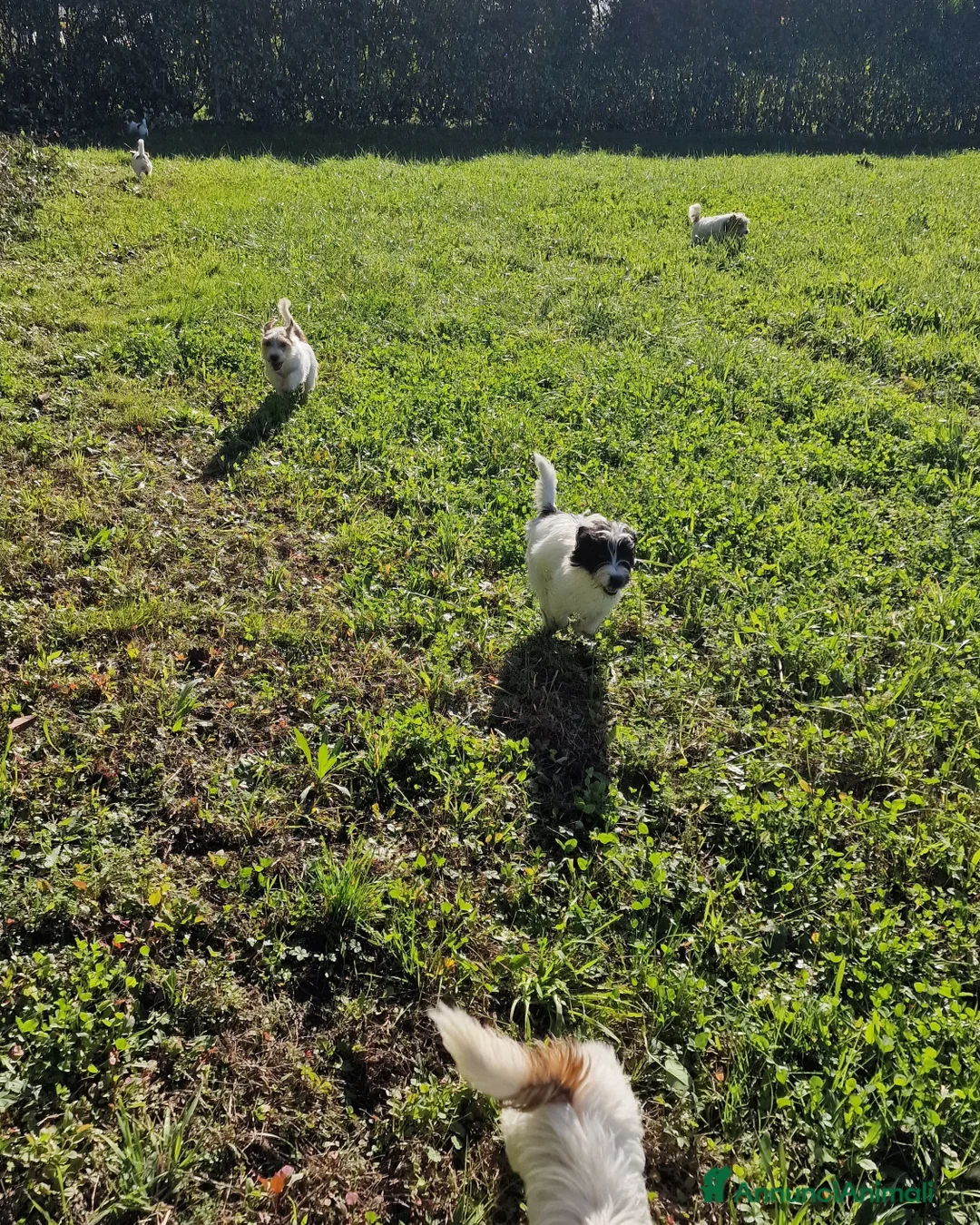 Immagine della galleria {{count}}