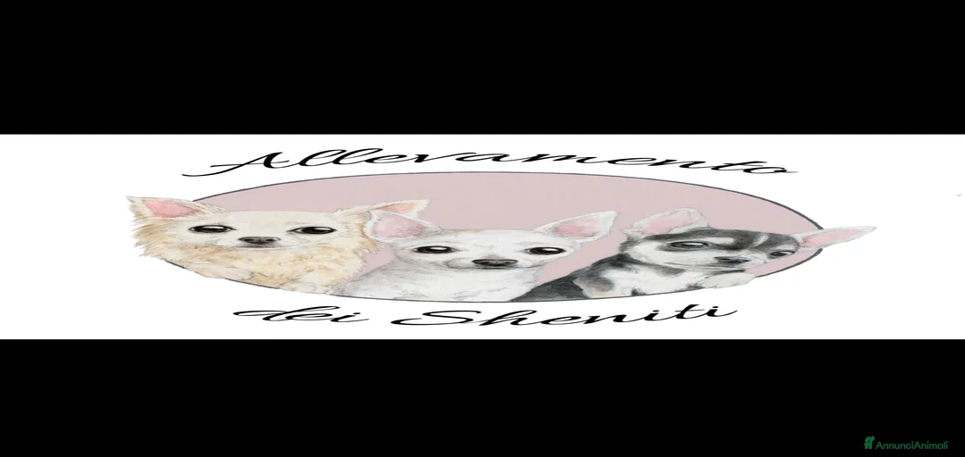 Immagine della galleria {{count}}