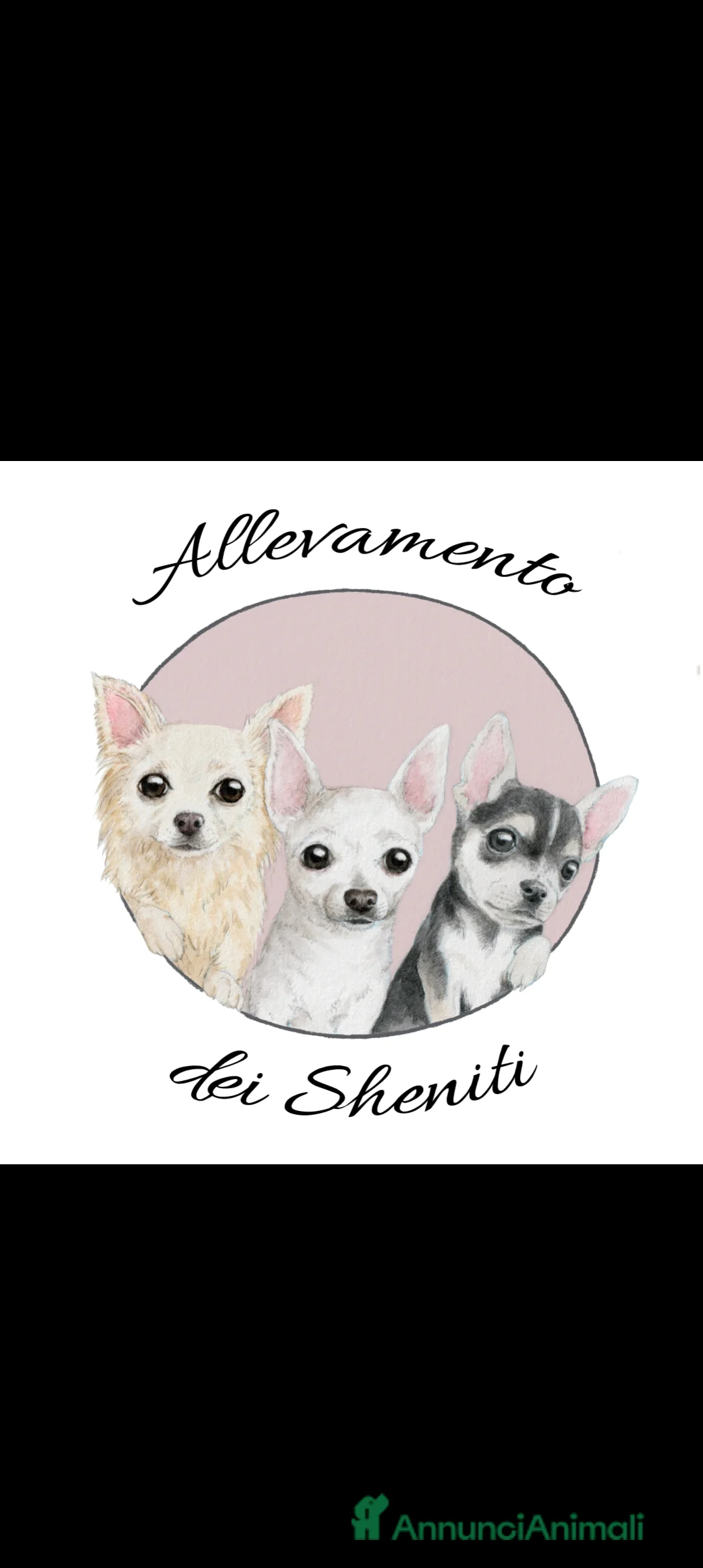 Immagine della galleria {{count}}