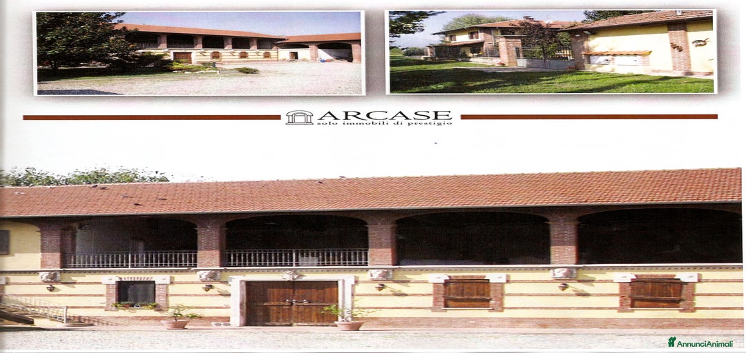 Immagine della galleria {{count}}