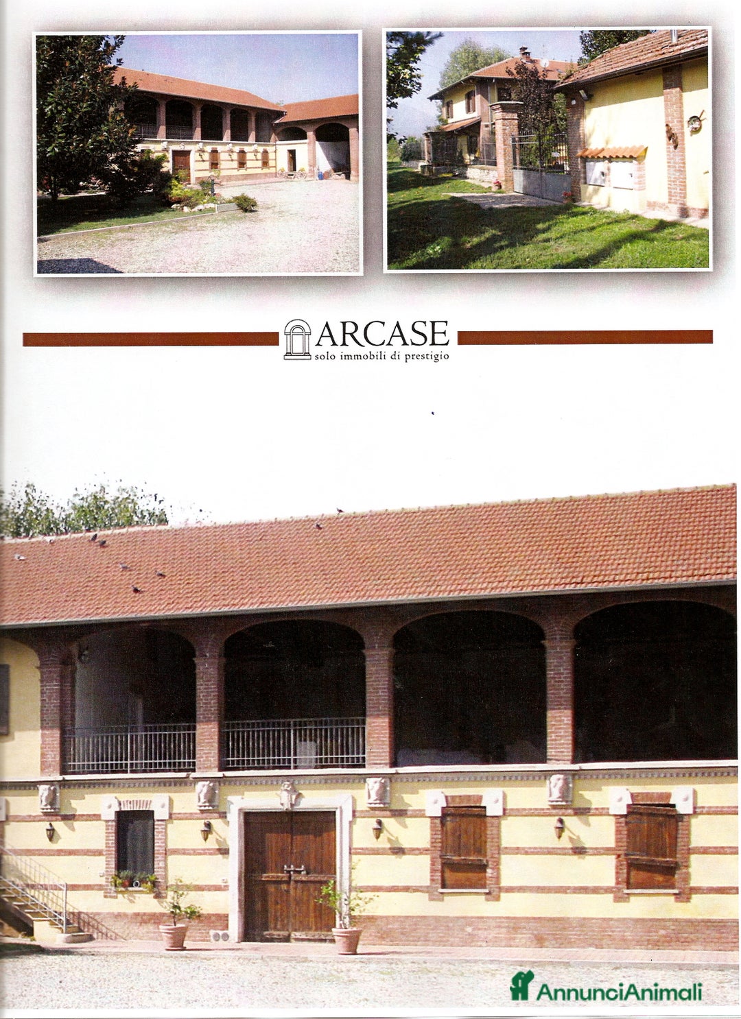 Immagine della galleria {{count}}