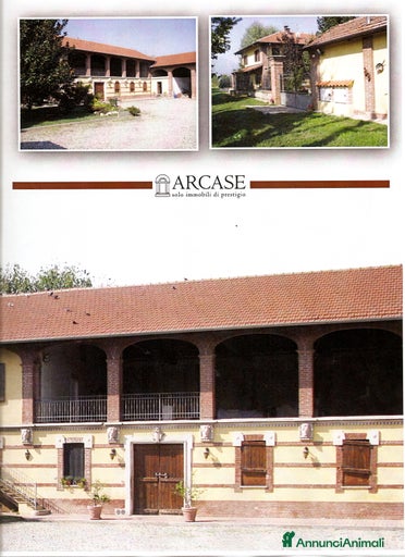 Immagine della galleria {{count}}