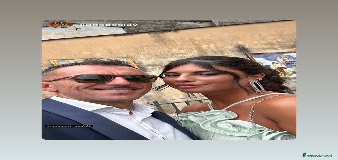 Immagine della galleria {{count}}