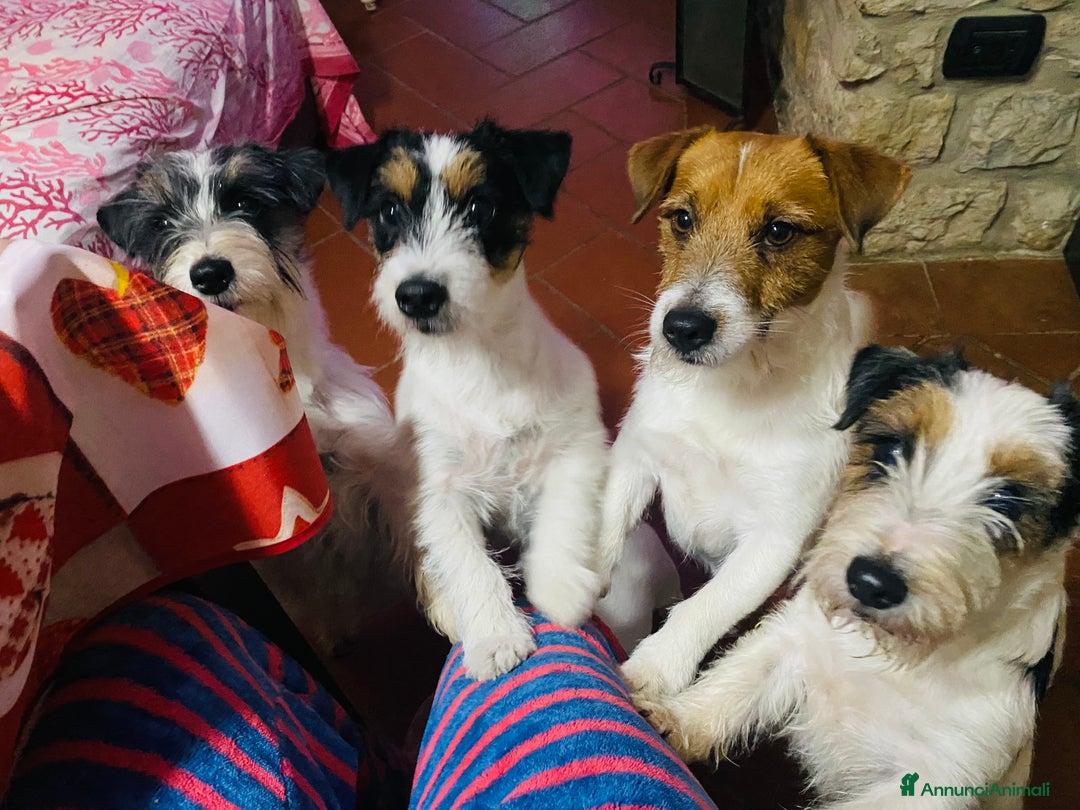 Immagine della galleria {{count}}