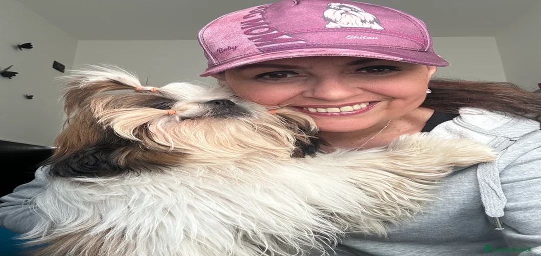 Immagine della galleria {{count}}