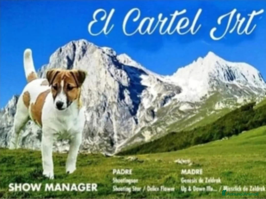 Immagine della galleria {{count}}