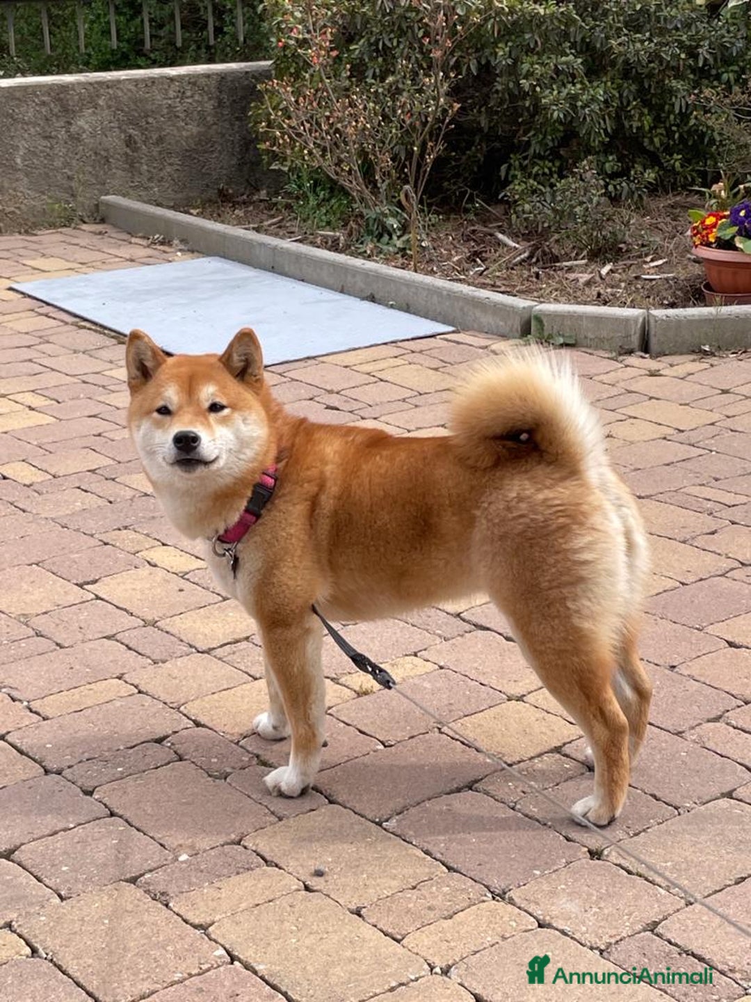 Immagine della galleria {{count}}