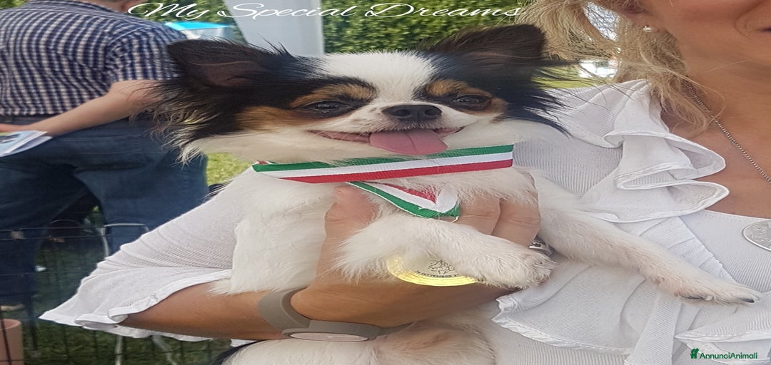 Immagine della galleria {{count}}