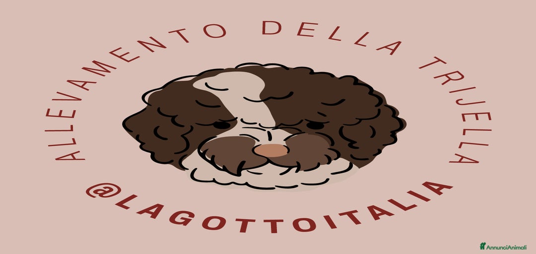 Immagine della galleria {{count}}