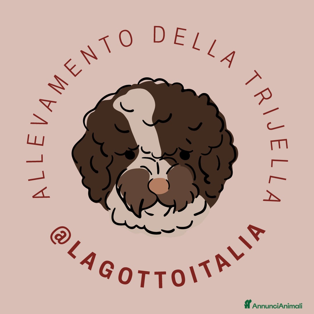Immagine della galleria {{count}}