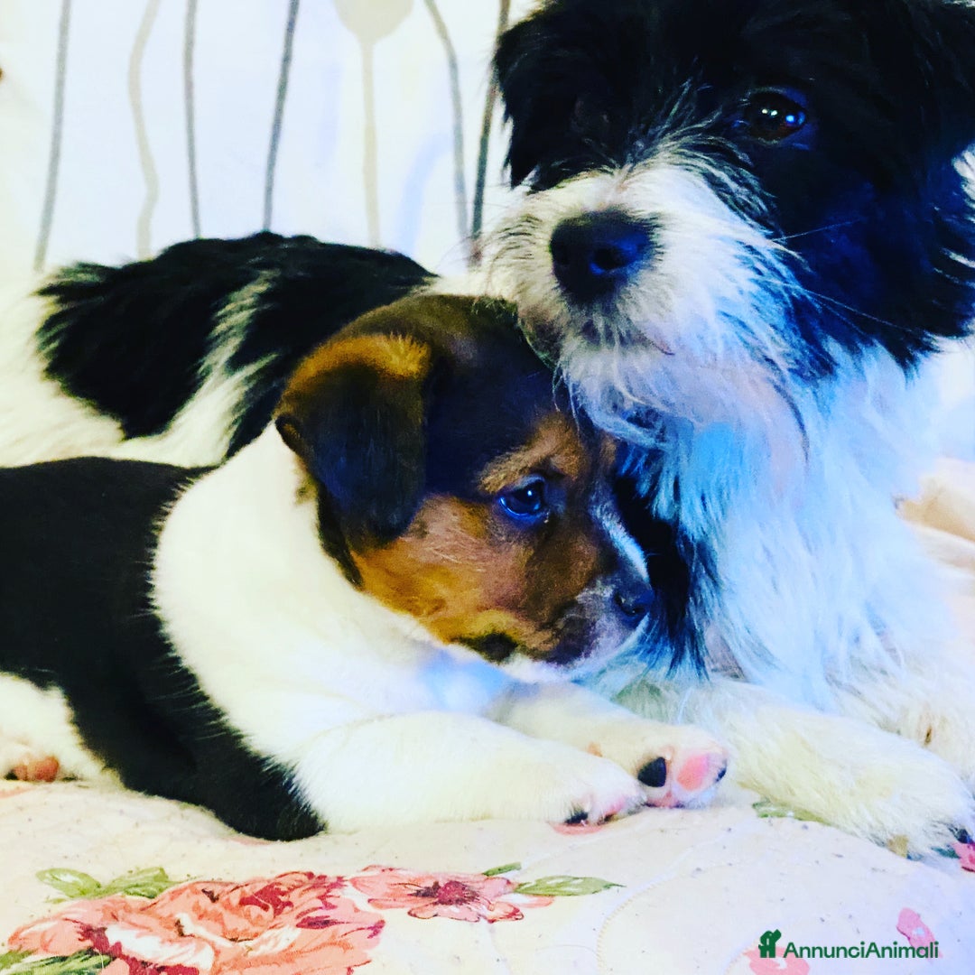 Immagine della galleria {{count}}