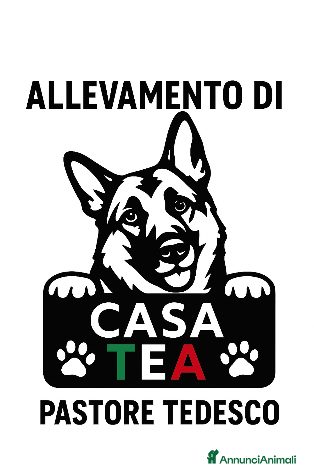 Immagine della galleria {{count}}