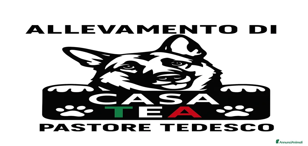 Immagine della galleria {{count}}