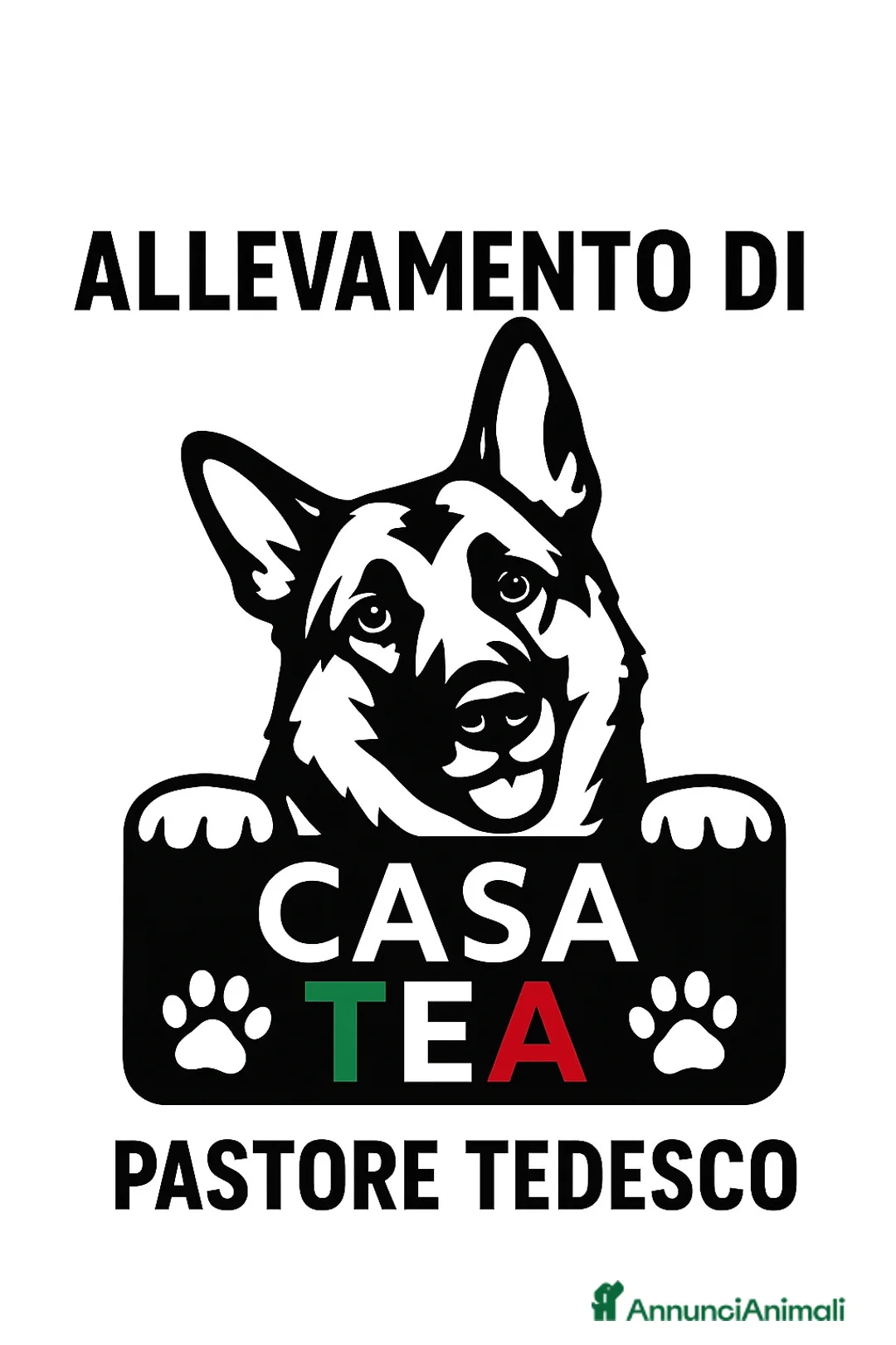 Immagine della galleria {{count}}