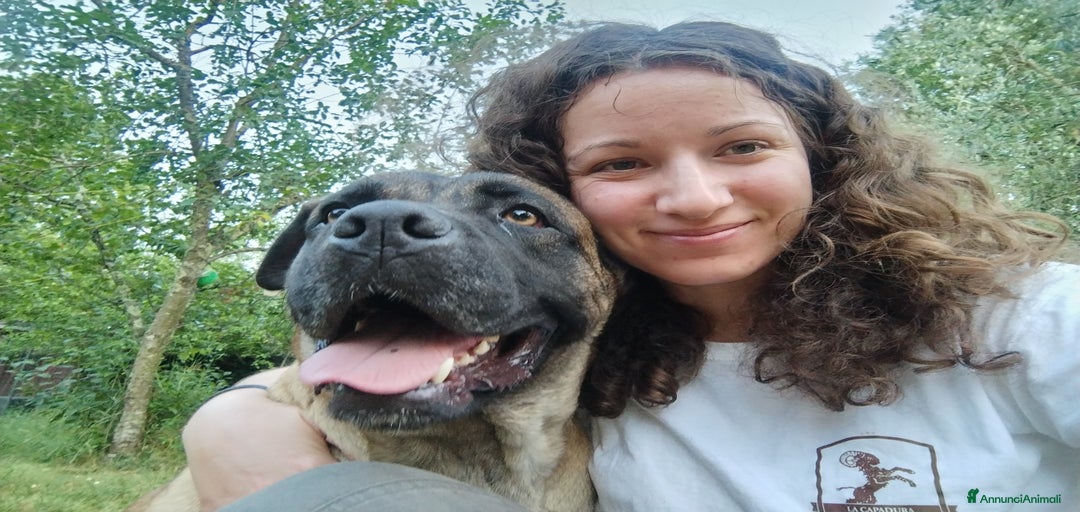 Immagine della galleria {{count}}