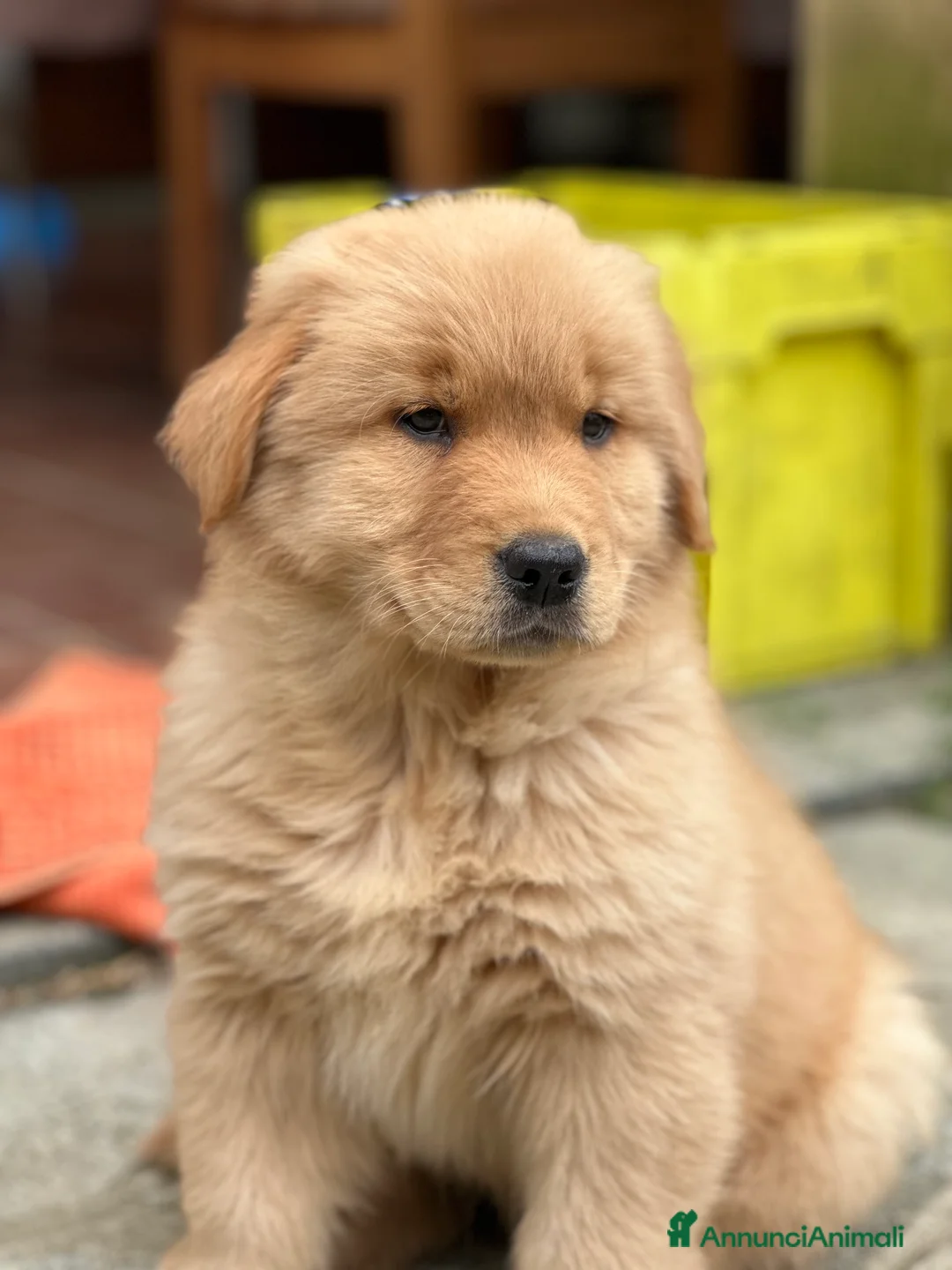 Immagine della galleria {{count}}