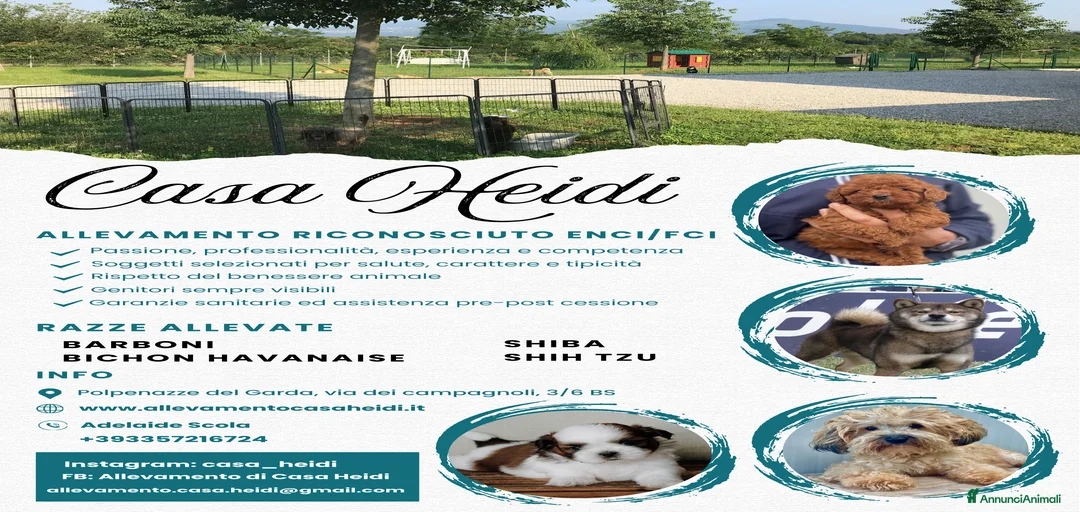 Immagine della galleria {{count}}