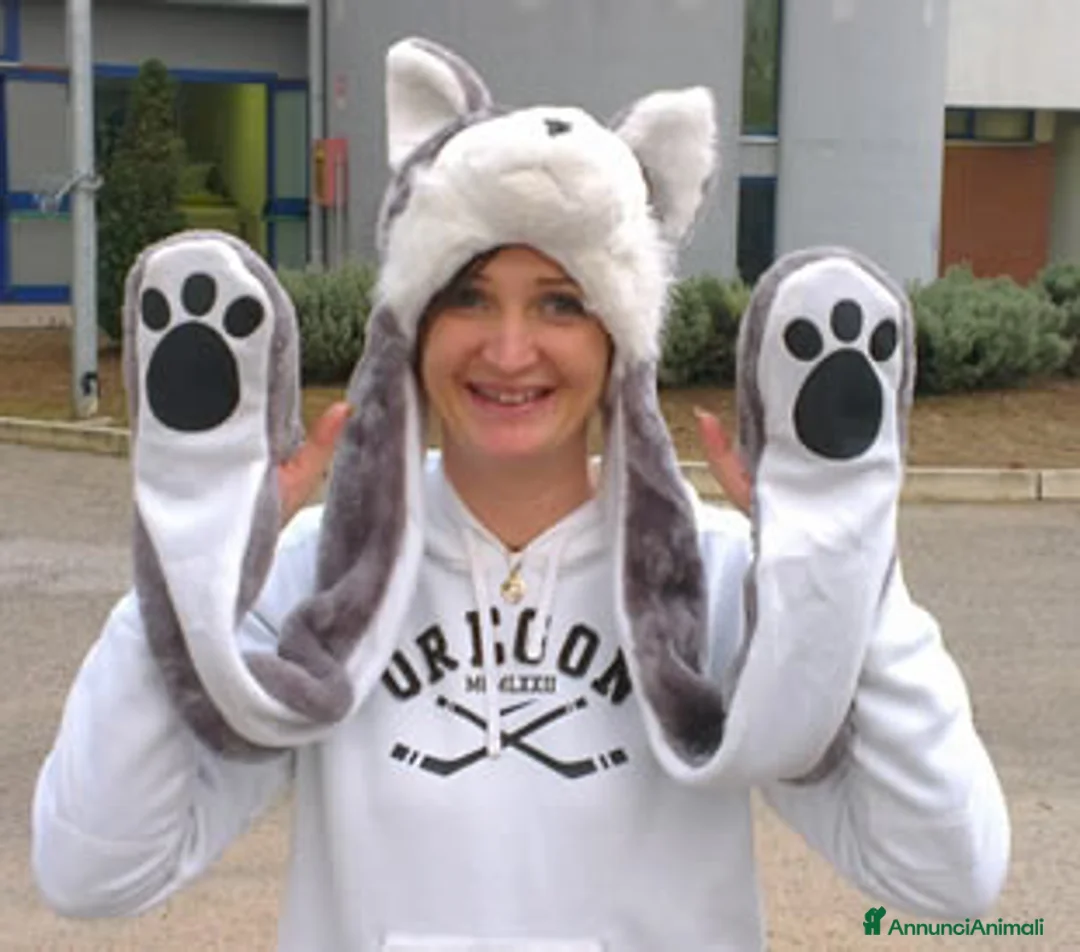 Immagine della galleria {{count}}