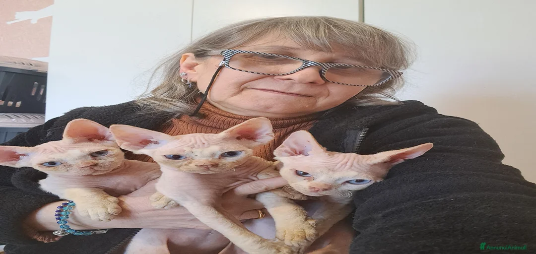 Immagine della galleria {{count}}