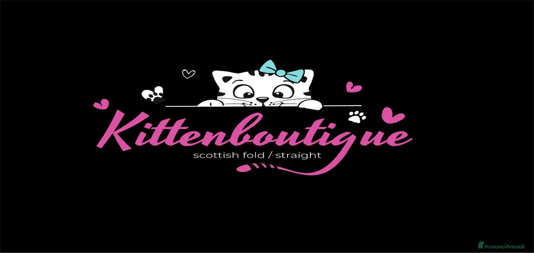 Immagine della galleria {{count}}