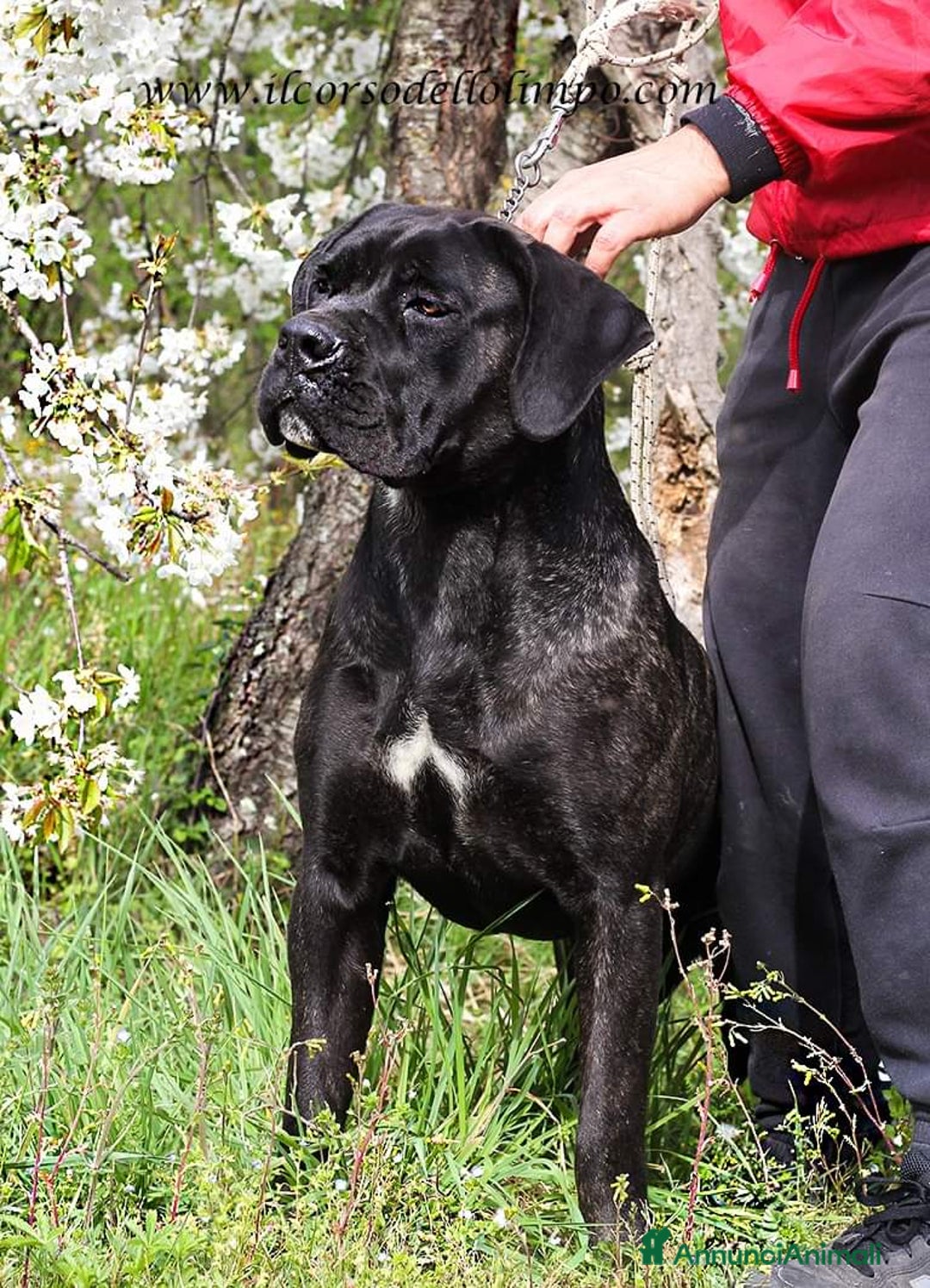 Immagine della galleria {{count}}