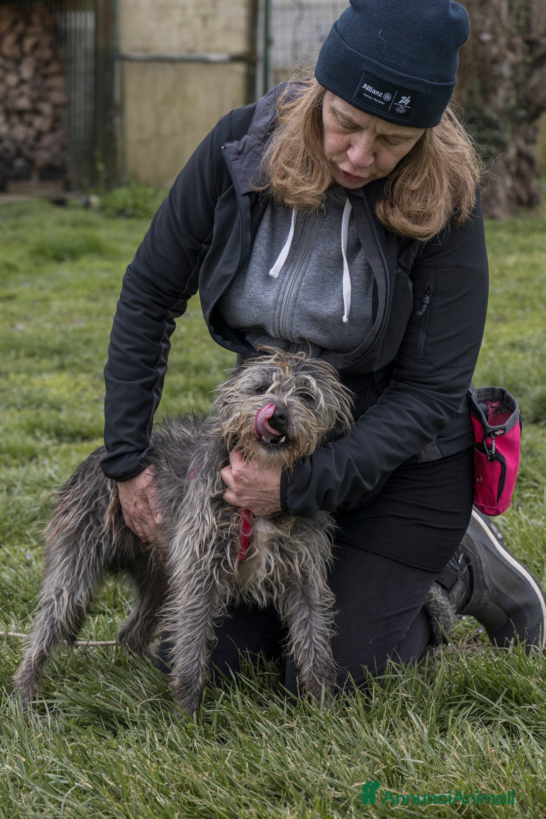 Meticcio cani in regalo: ARAMIS, meticcio furbetto in adozione a Città metropolitana di Milano - Immagine 4