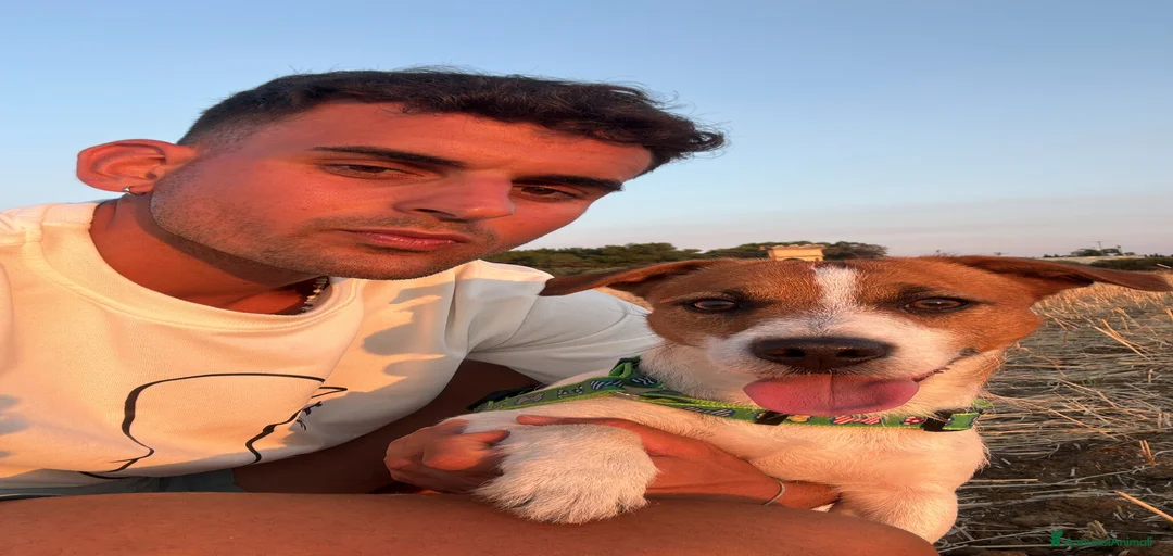 Immagine della galleria {{count}}