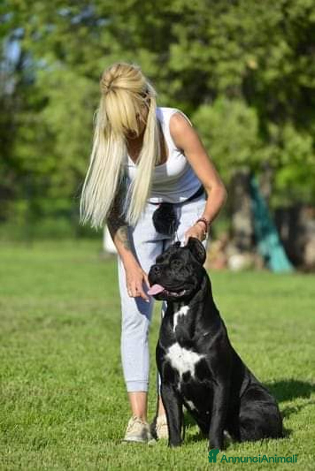 Immagine della galleria {{count}}