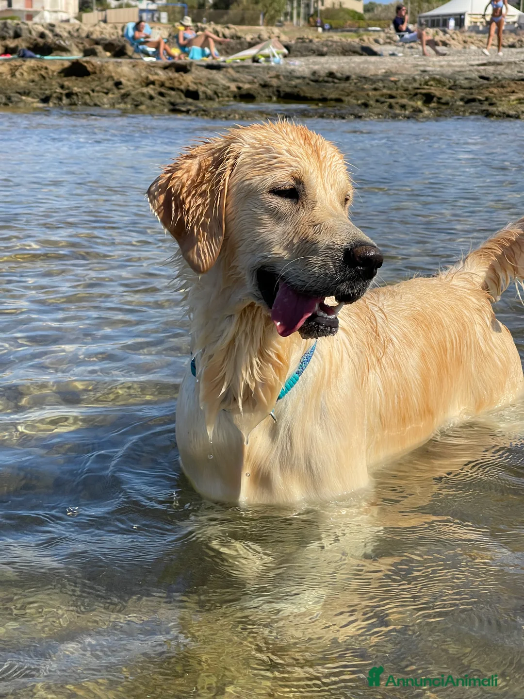 Immagine della galleria {{count}}