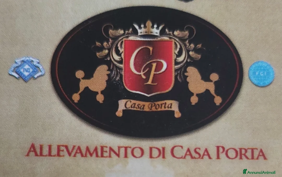 Immagine della galleria {{count}}