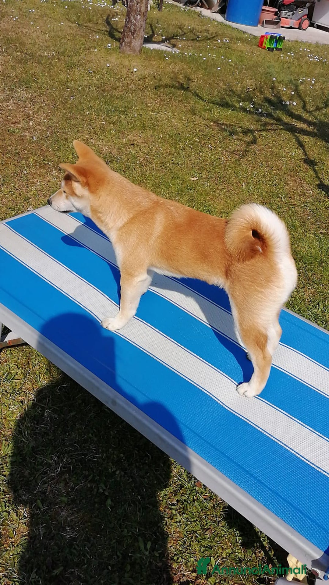 Immagine della galleria {{count}}