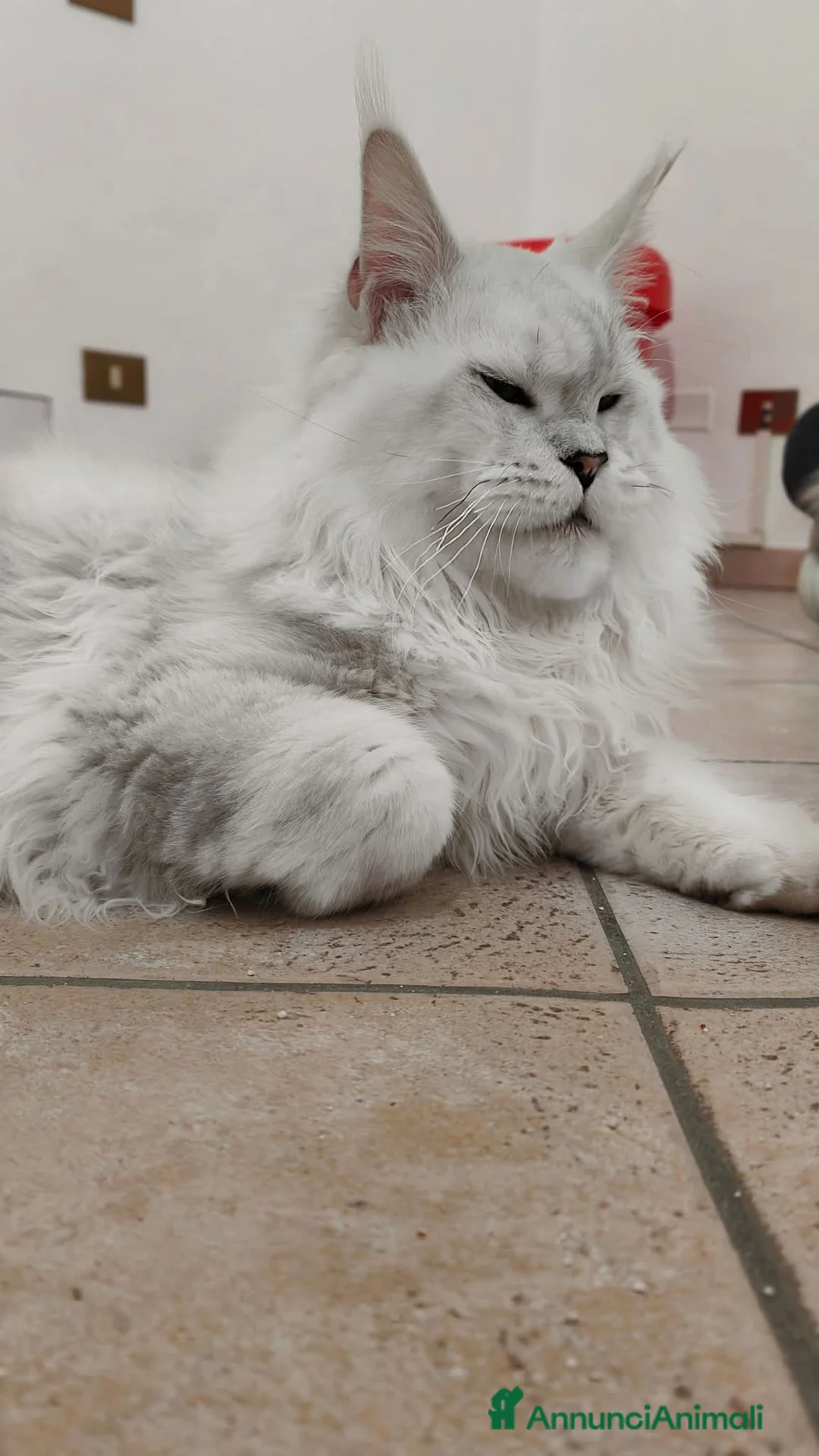 Immagine della galleria {{count}}