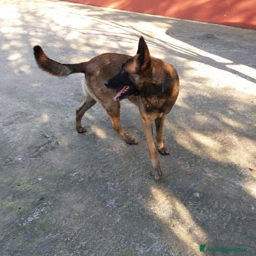 Immagine della galleria {{count}}