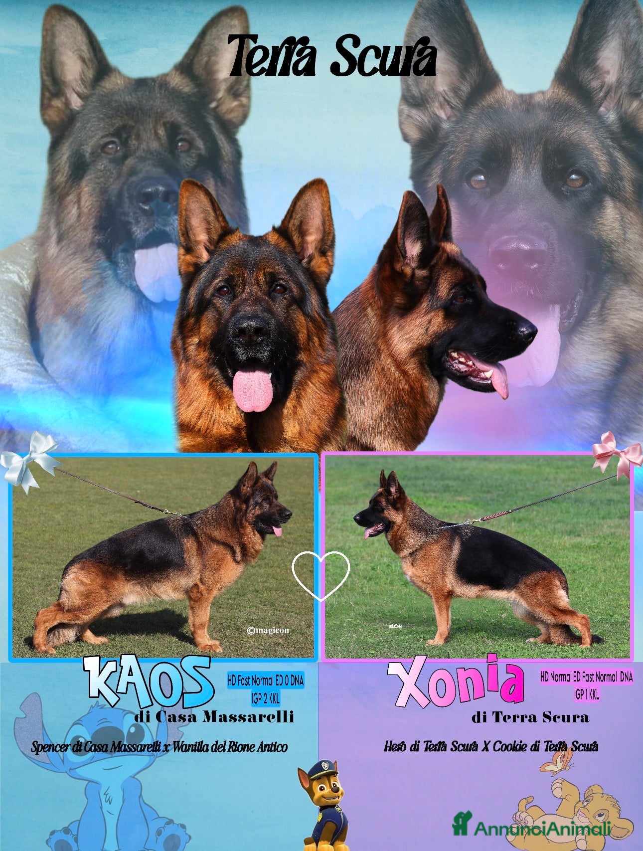 Pastore Tedesco cani ⭐️CUCCIOLI A 5 STELLE ⭐️ - Annuncio 1