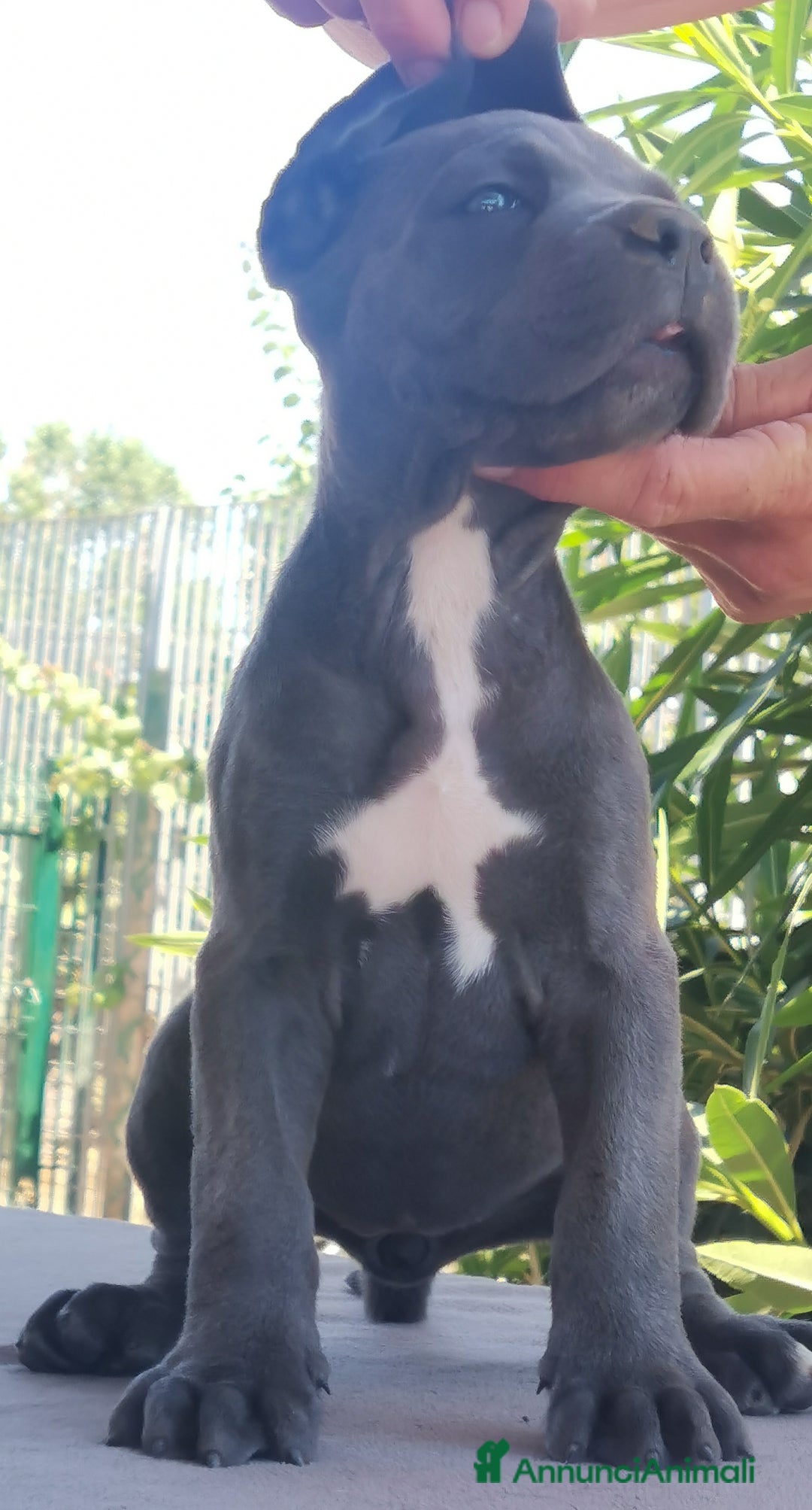 Immagine della galleria {{count}}